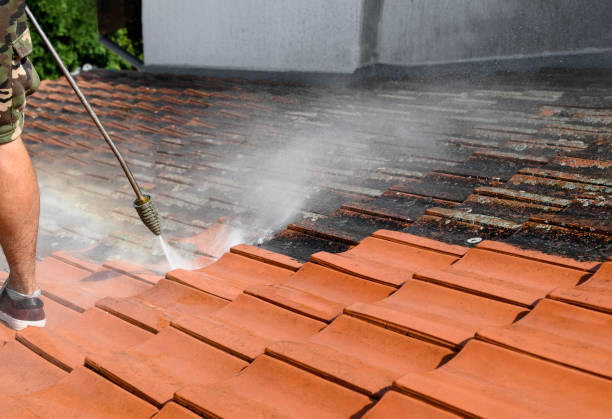 Best Pressure Washing Near Me  in Sullivan, IL